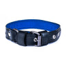 Paguro Upcycle vegan dog collar recycled in black with blue inner lining and metal buckle