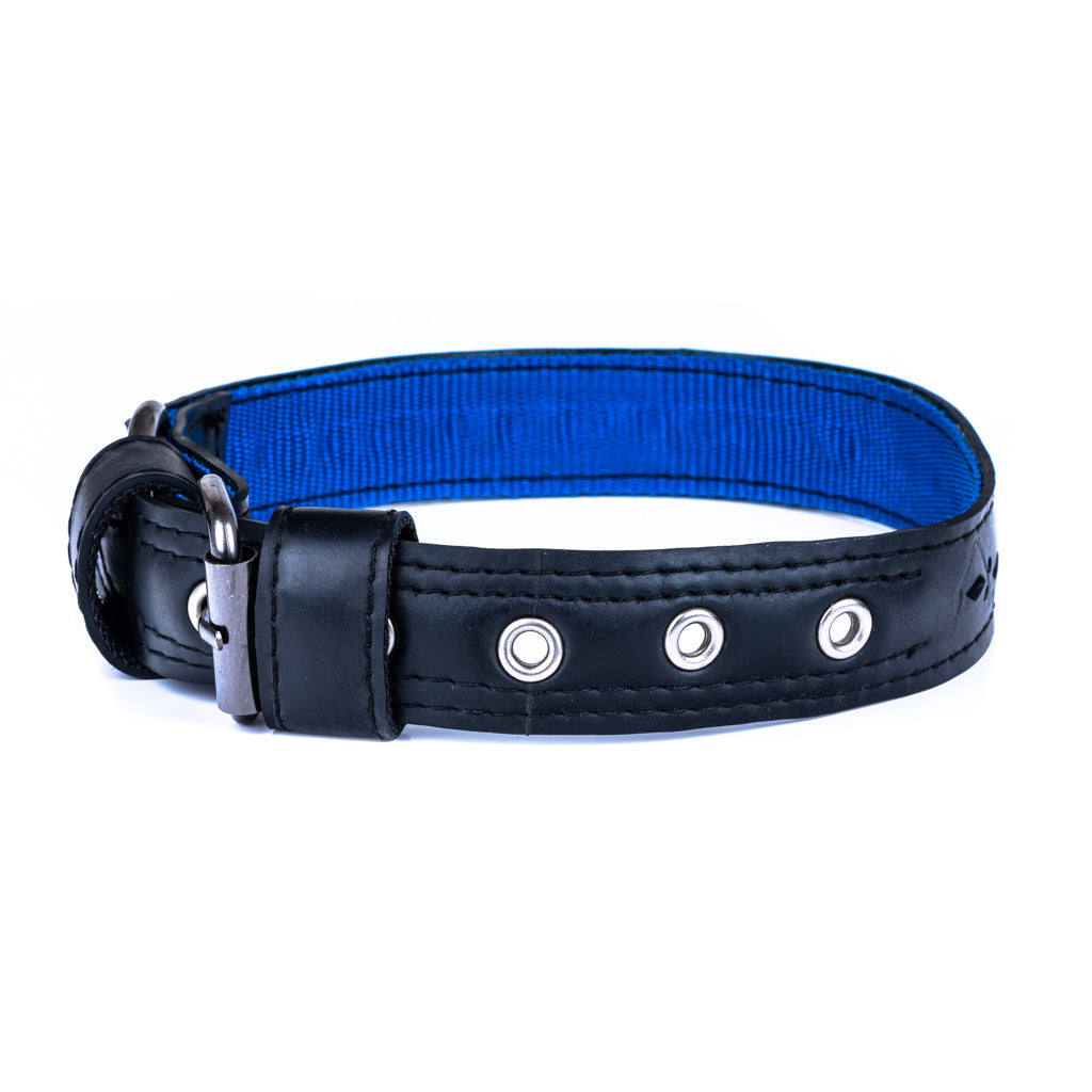 Paguro Upcycle black and blue vegan dog collar recycled with metal buckle and adjustable holes