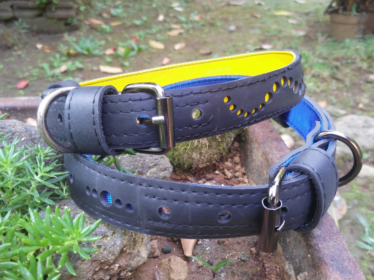 Paguro Upcycle vegan dog collar recycled with black exterior and blue and yellow inner lining