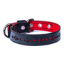 Paguro Upcycle vegan dog collar recycled in black with red lining and decorative cutout design