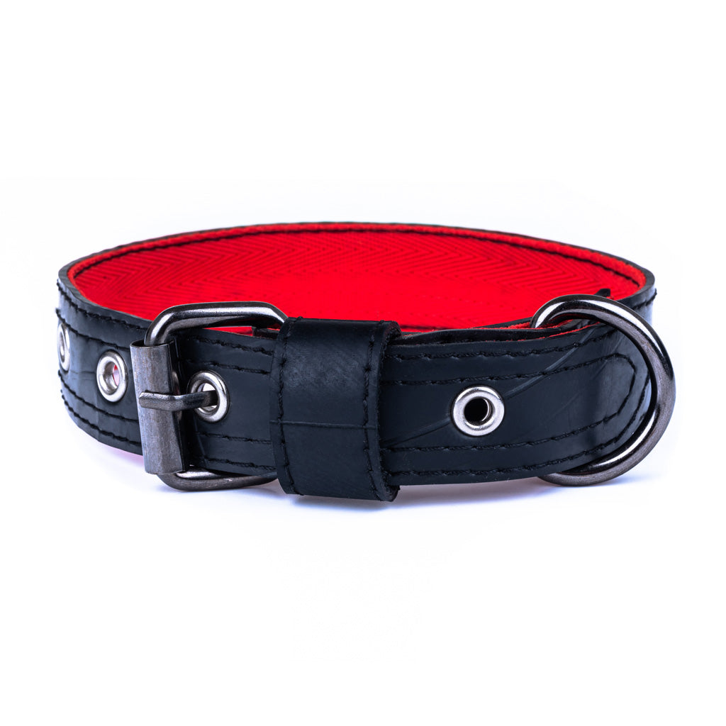 Black and red vegan dog collar recycled from Paguro Upcycle with metal buckle and ring