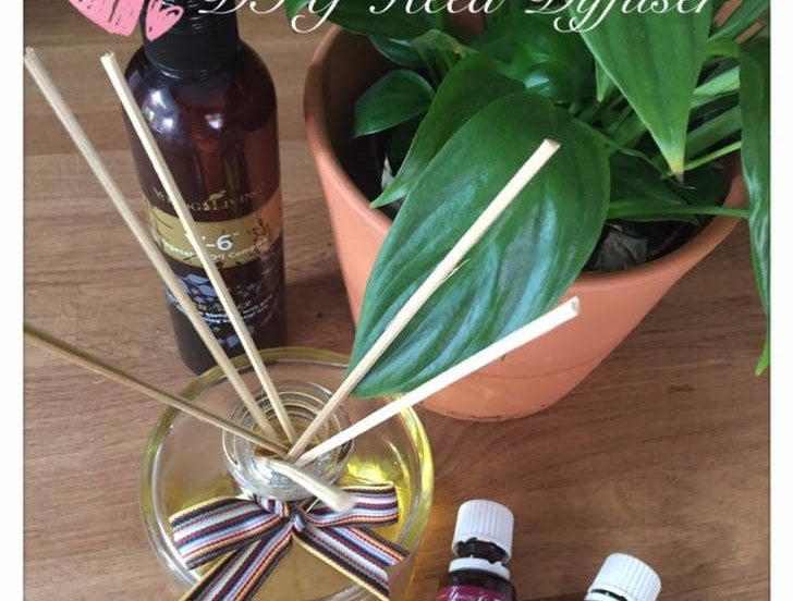 DIY reed diffuser setup with essential oils and a plant, explaining how to make a diffuser at home