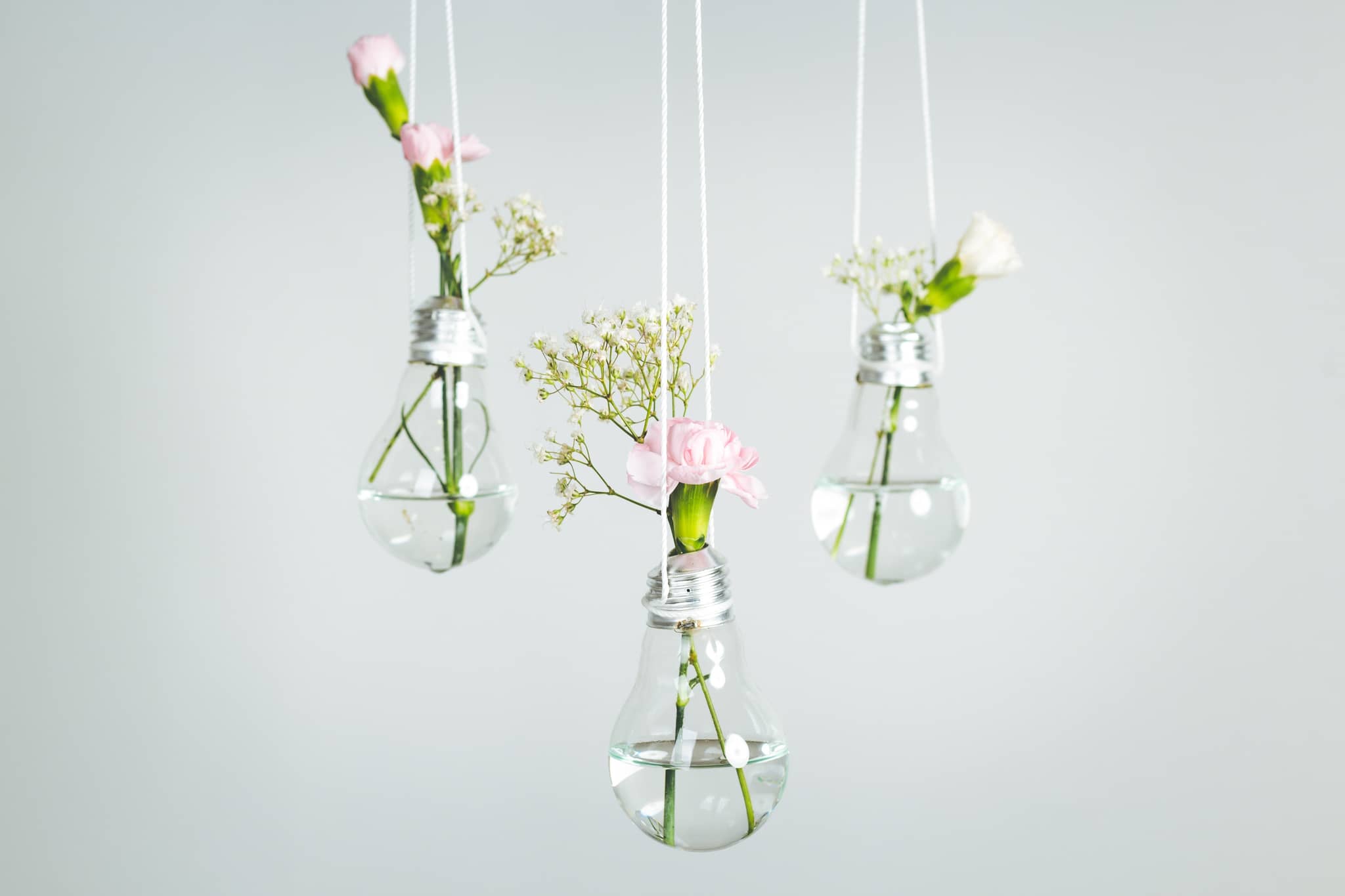 Hanging light bulb vases with flowers showcasing upcycling ideas for beginners