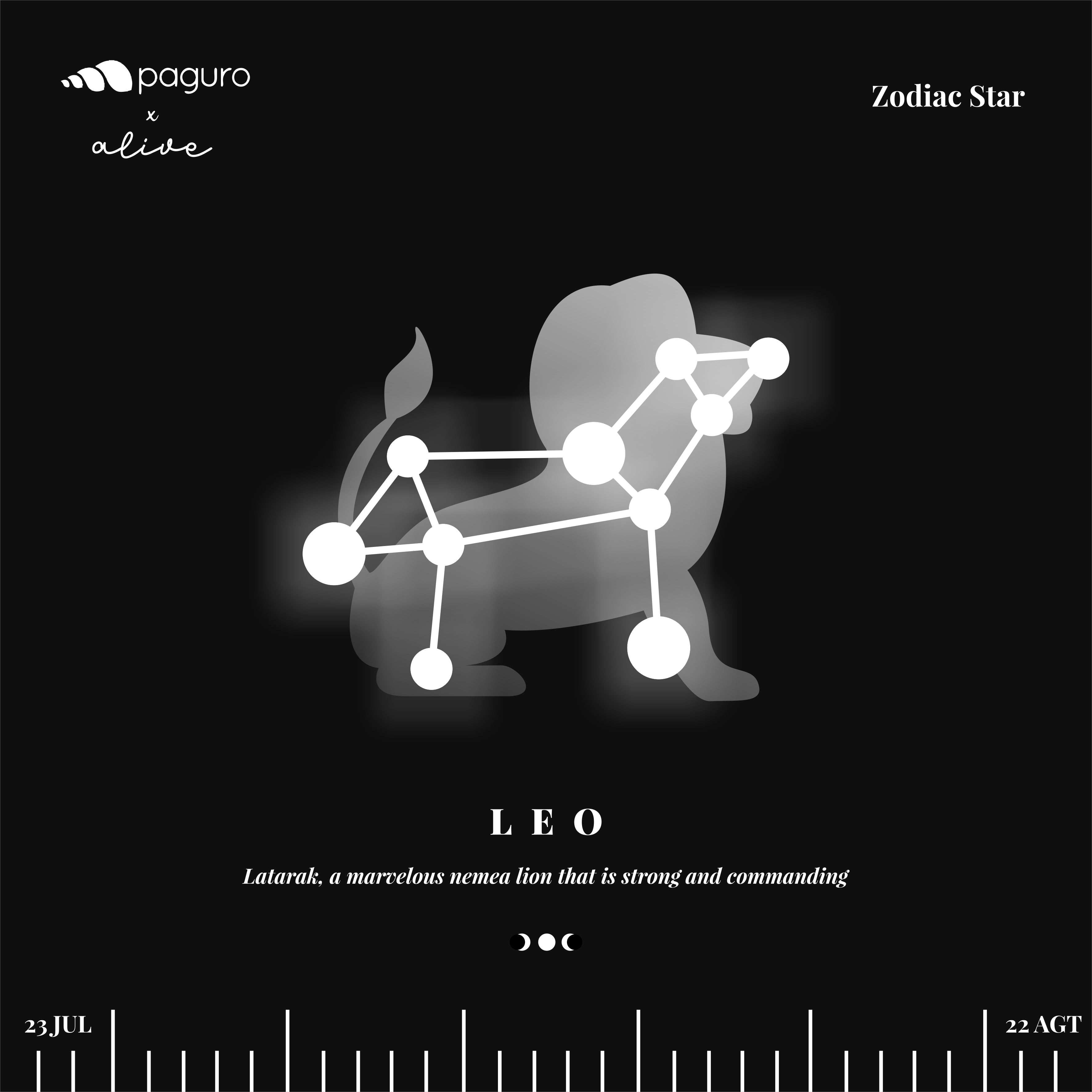 Collier durable signe du zodiaque Leo